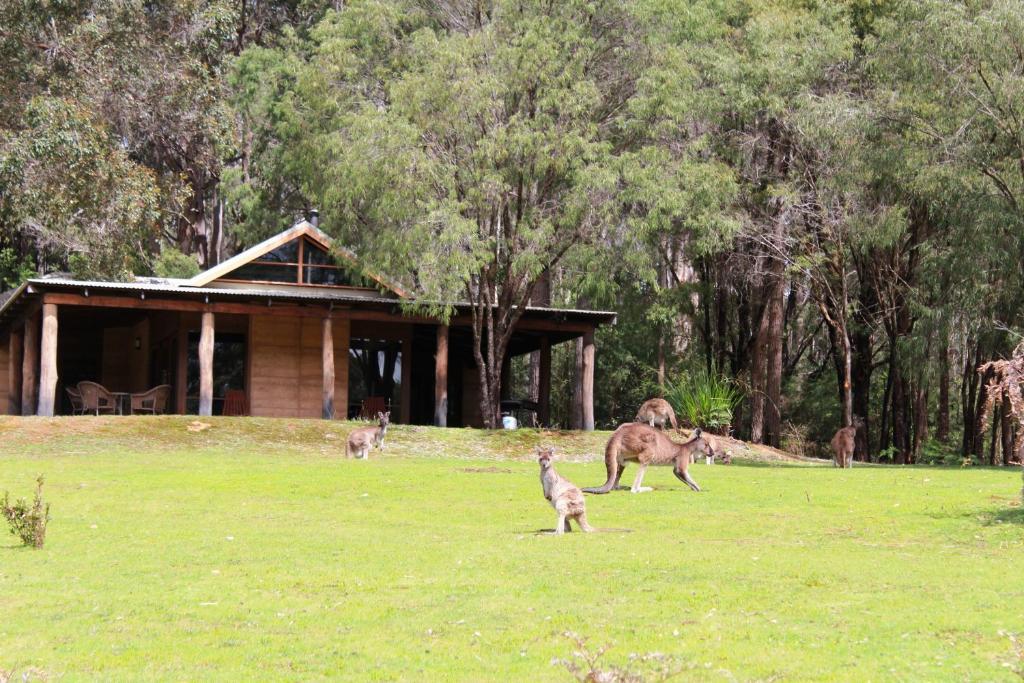 Marima Cottages Pemberton Esterno foto