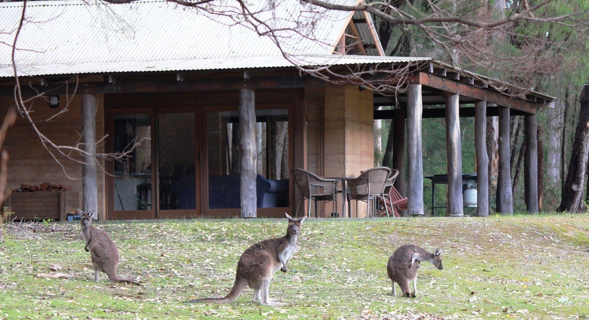 Marima Cottages Pemberton Esterno foto